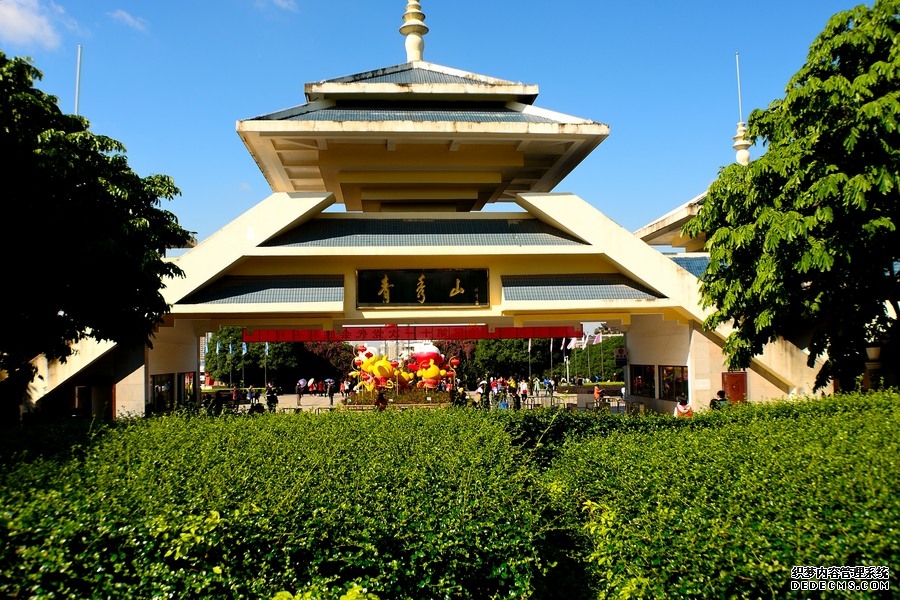 南宁青秀山春日花海盛放 逾12万盆郁金香迎客来